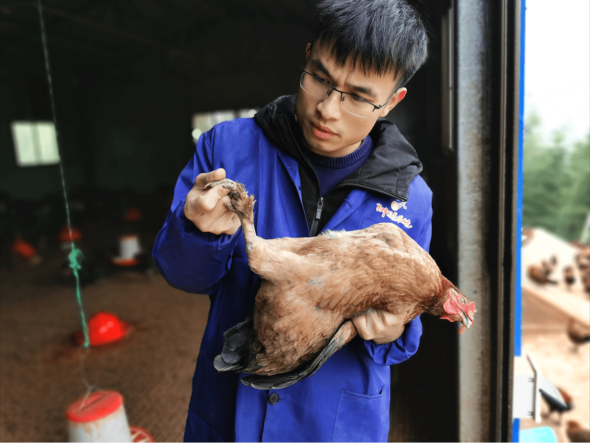 十年公鸡脚蹬子真的是辟邪之物吗？